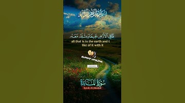 سوره المائده the holy Quran reading great Islamic status 💜💚🖤