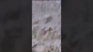 ⚠️ Аликанте под водой! Мой влог из эпицентра катастрофы