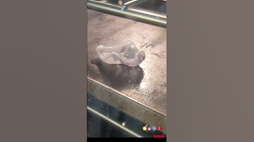 Create Your Own Microfluidic Device #stem #sciencebuddies #biotechnology #engineering #biology