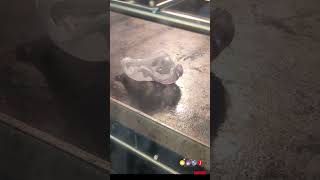 Create Your Own Microfluidic Device