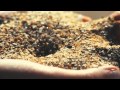 CAMBIO DE PLANES - Videoclip "Nuestra playa eres tú" - Oficial de Warner Bros. Pictures
