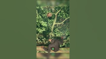 Ancestors Humankind Odyssey WHAT NOT TO DO