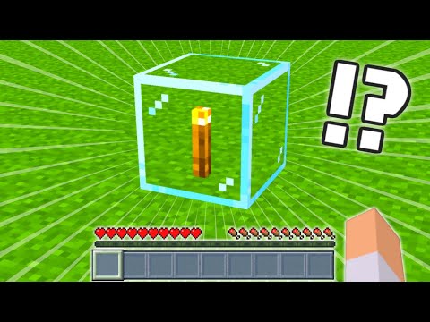 ガラスの中に松明を入れる方法【マイクラ】 #Shorts