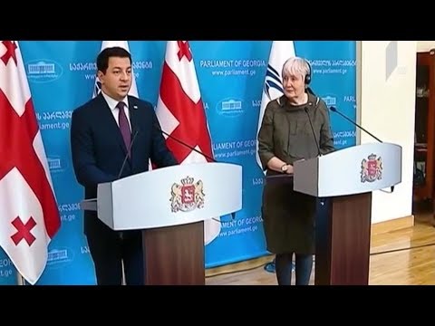 ნატო-ს საპარლამენტო ასამბლეის პრეზიდენტის ვიზიტი