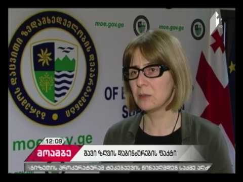 საქართველოს ტერიტორიული წყლების დაბინძურების ფაქტი გამოვლინდა