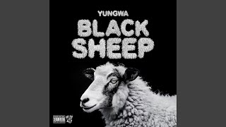Black Sheep