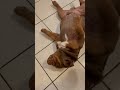 I Think He S Dead 