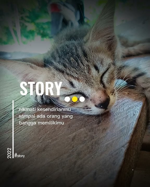 Story wa 30 Detik kekinian 2022#shorts