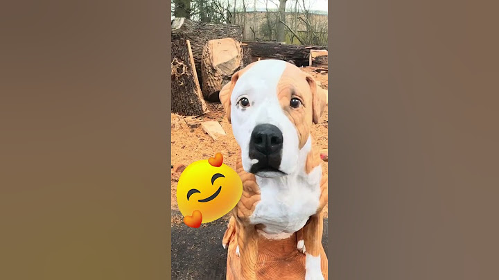 Dogs Brought to Life from Logs #viral