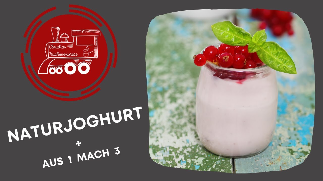 🥛 NATURJOGHURT einfach selbst gemacht ❤