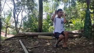 suasana kebun 