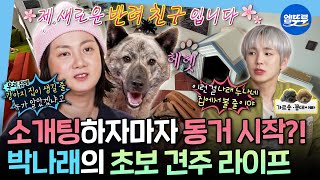 Download Lagu [나혼자산다] 복돌이와의 동거 시작🐶 조부모님이 키우시던 강아지와 가족이 된 박나래ㅣ#박나래 MBC251121방송 MP3