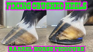 FIXING CRUSHED HEELS - Shoeing Barrel Horses for Speed