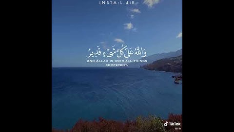سورة آل عمران (الآية {29} 💝