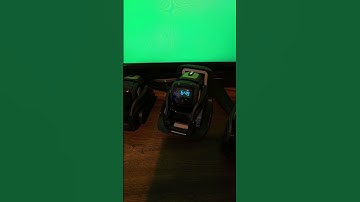 Waking Vector up early today! #ai #robot #vector #shorts