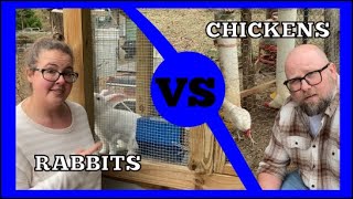 Chickens vs Rabbits: Which Is Better for Your Homestead?