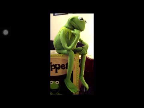 kermit-the-frog-memes