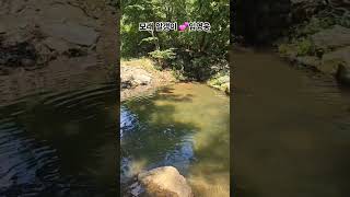 휴가온 카페 #양평계곡 #휴가온펜션 #양평가볼만한곳