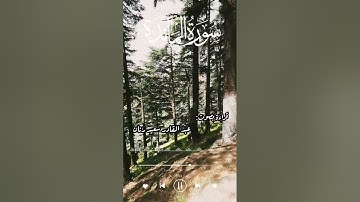 قراءة لما تيسر من سورة المائدة، بصوت الأخ عبد القادر سعيد رنان، سنة 1432ه‍/2011م