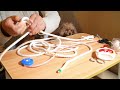 犬の訓練用ロープ作り