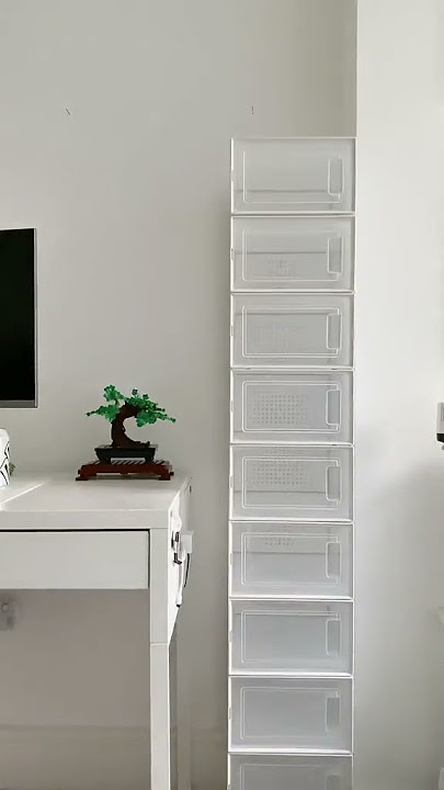 Reorganizing Sneakers tiktok ara mp4