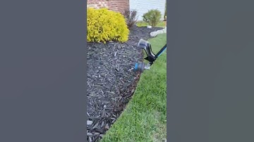 How to Use a String Trimmer on a Live Edge  #shorts
