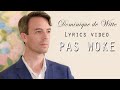 Dominique de witte  pas woke  lyrics vido  single officiel