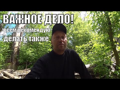 Video: Ali lahko psi postanejo bolni od gnojila?