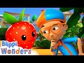 Blippi wonders  learn fruit and vegetables  more  blippi animated series  cartoons for kids