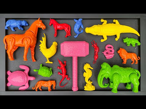 CLEANING: Cow, Elephant, Mammoth, Chimpanzee, Rabbit, Crocodile, Chicken, Duck, Snake, Kangaroo.