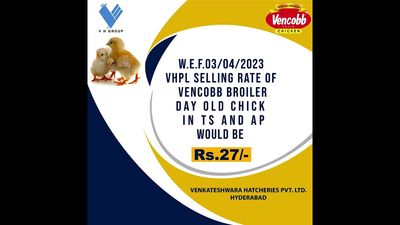 04-03-2023 Today Vencobb Broiler Chicken Farm Gate Rate || In Telugu || by Master