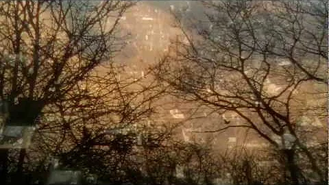 Shari Wilson-Cole - When Angels Cry