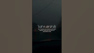زينَ للذين كفروا الحياه الدنيا || سوره البقره || القارئ طارق محمد