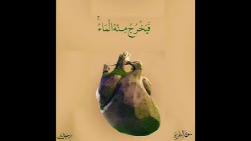 ثُمَّ قَسَتْ قُلُوبُكُم مِّن بَعْدِ ذَٰلِكَ فَهِيَ كَالْحِجَارَةِ  ، للقارئ مشاري عفاسي