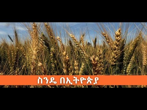 ቪዲዮ: በመዋቅራዊ ዋስትና ስር የተሸፈነው ምንድን ነው?