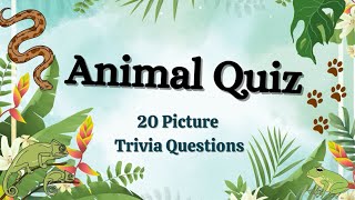 Waay too Easy Animals Trivia Picture Quiz - With Clues! | Identify the Animal
