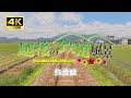 【4K車窓】JR弥彦線 新潟県 三条市~弥彦村【越後の鉄道風景】