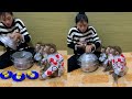 Baby Monkeys Waiting for Steamed Corn 🐒🌽 | Cute Monkey Family Cooking