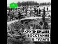 Крупнейшее восстание в ГУЛАГе | ROMB