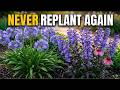 10 Container Perennials You Must Plant in April (They Come Back Every Year!)