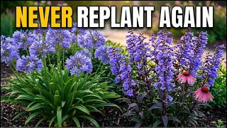 10 Container Perennials You Must Plant in April (They Come Back Every Year!)