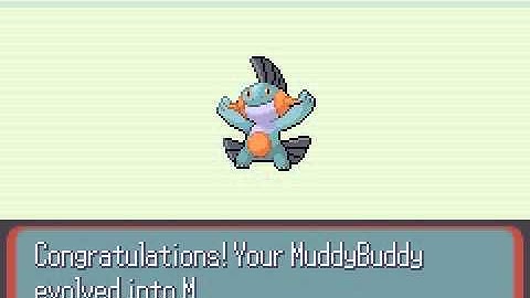 Mudkip evolves