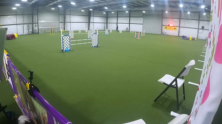 Nitro, AKC Agility; Novice Preferred Jumps with Weaves (JWW). Q3 and Title run!