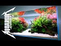 Идеальные параметры воды в аквариуме с растениями