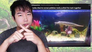 Famous The MORE you look the WORSE it gets (part 2) | Fish Tank Review 140 Net Worth