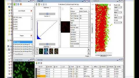 Scatter Plot und image editor