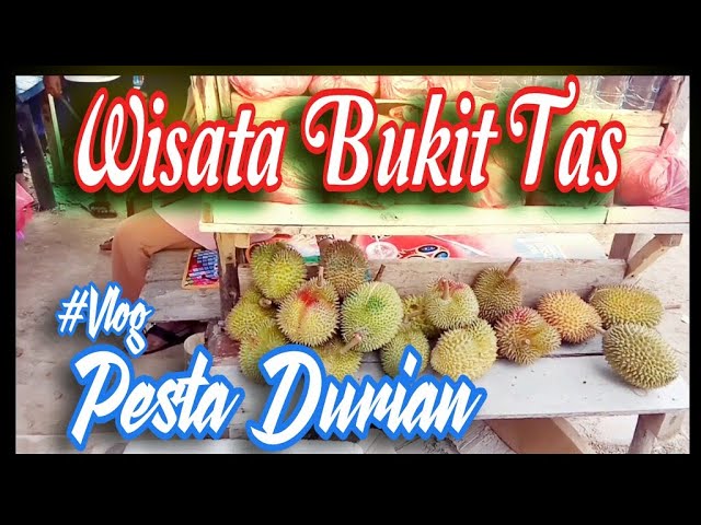 Trip to BUKIT TAS Pulau Kundur | Pesta Durian Di Puncak class=