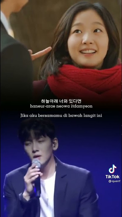 beautiful life ost goblin - ji Chang wook version