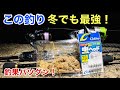 冬の夜釣りをアツくする！アオイソメの力はやっぱりすごかった