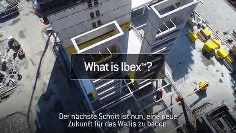 Your Next Career Move with Ibex™